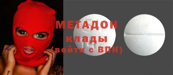 индика Инсар