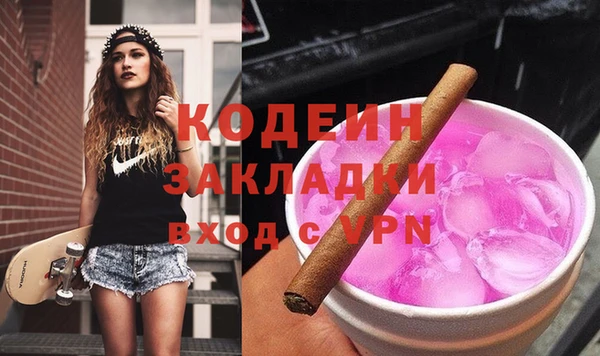 индика Инсар