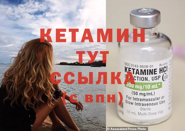 индика Инсар