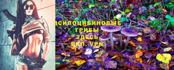 соль курить ск Зеленодольск
