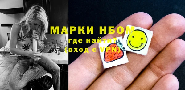индика Инсар